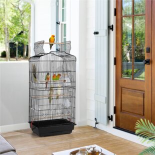 Bird Cages You'll Love | Wayfair.co.uk